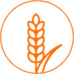 Rice Icon